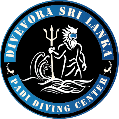 Divevora Logo