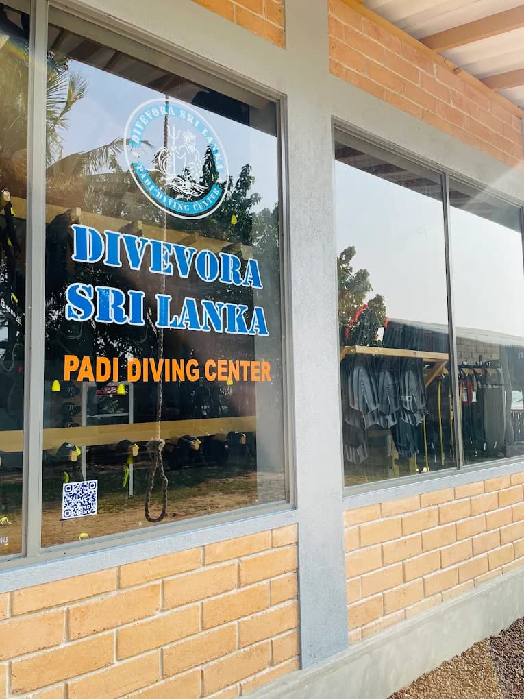 Scuba Diving Adventure