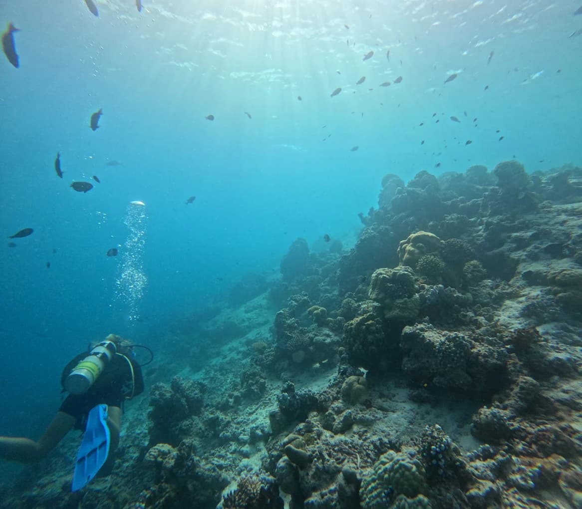 Scuba Diving Adventure