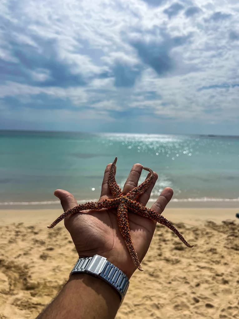 Scuba Diving Adventure